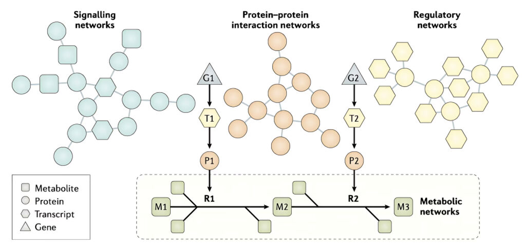 Biological Networks ScandiBio