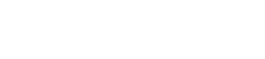 ScandiBio Logo White